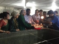 First time successfully produces crablets in Bangladesh