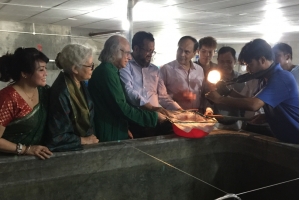 First time successfully produces crablets in Bangladesh