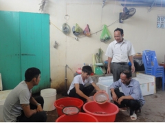 Cecd in cooperation with Vietnam Research Institute on Aquaculture and Fisheries